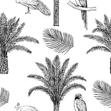 Toile de jouy seamless pattern with palms, tiger and peacock. Vector monoch.. Stock Illustration