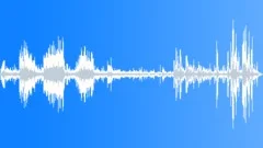 Toilet 01 flushSound Effect