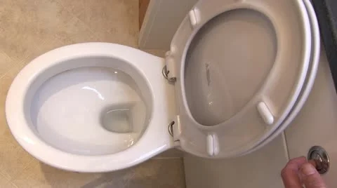 A toilet being flushed Stock-Footage 12285935
