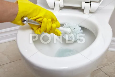 Toilet bowl cleaning. Stock Photos