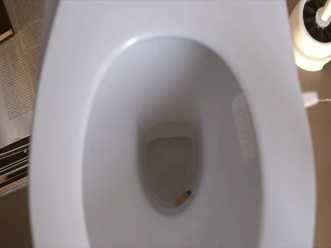 Toilet flush cigarette Stock Footage 80248219