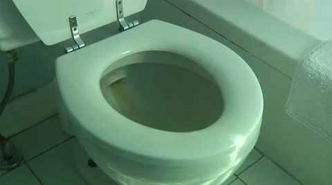 Toilet flush Stock Footage 8692702