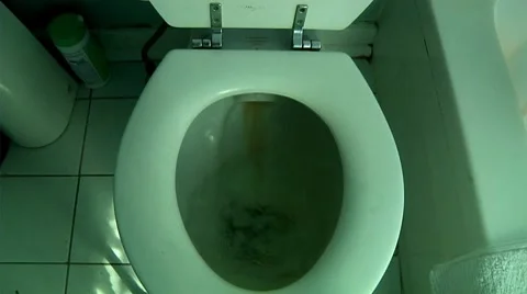 Toilet flush Stock Footage 8692962
