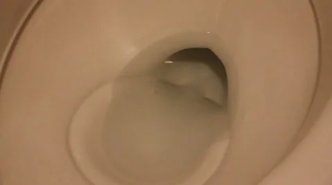 Toilet Flush Stock-Footage 12453934