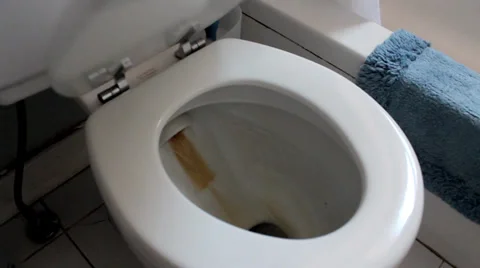 Toilet Flush Stock Footage 37334380