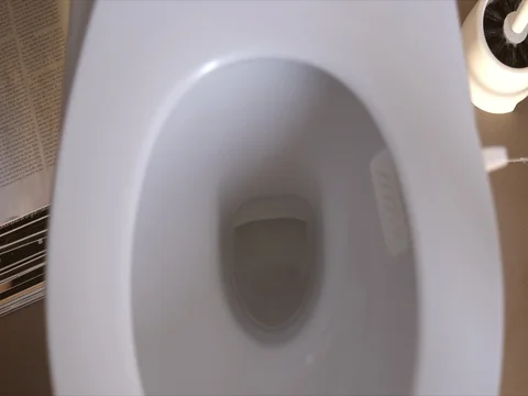 Toilet flush Stock Footage 80248223