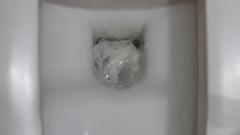 Toilet Flush Stock Footage 123129363