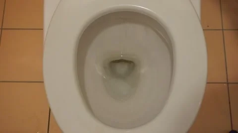 Toilet Flush Top View Video stock 47985459