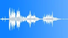 Toilet Flushed Sound Effect