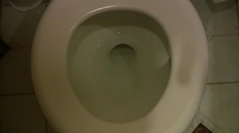 Toilet flushing Video stock 461248