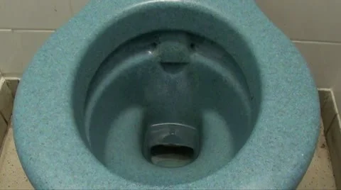 Toilet flushing Stock Footage 10252322