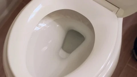 Toilet flushing  Stock Footage 82042238