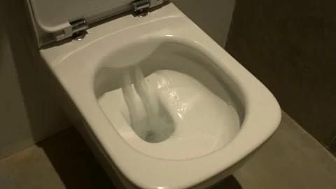 Toilet Flushing Stock Footage 125240387