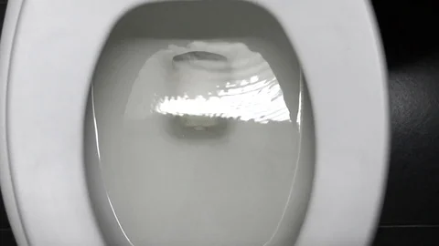 Toilet Stock Footage 71581466