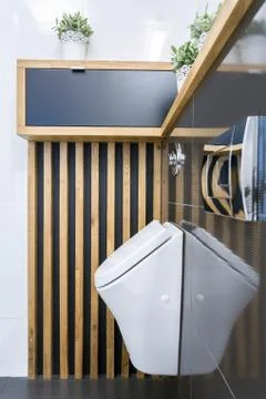 Toilet interior with urinar Stock Photos