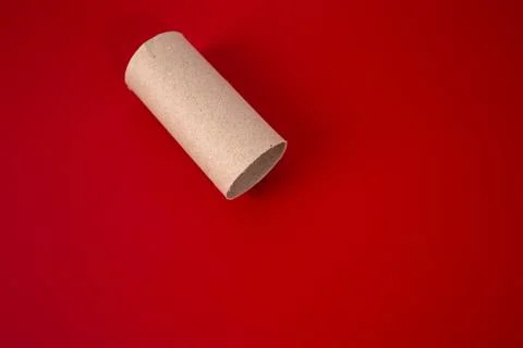 Toilet paper roll on red background, materials for make paper craft, Stock Photos