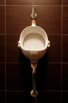 Toilet Stock Photos