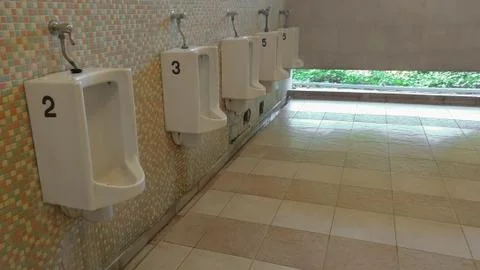 Toilet Stock Photos