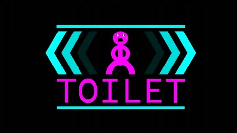 Toilet001 Stock Footage 147930885