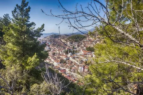 Tokat between two trees Stock Photos