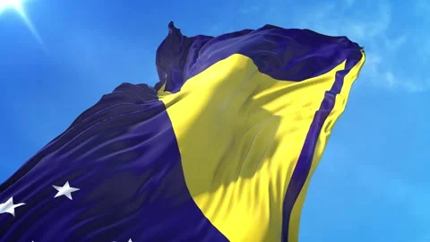 Tokelau Flag Low Angle View Stock Footage 295698846