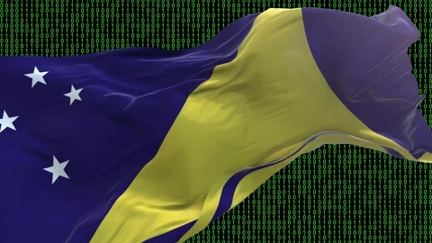 Tokelau flag - Waving flag on matrix binary code background Stock Footage 321421948