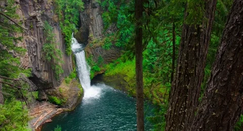 Toketee Falls Two Tiered Waterfall Basalt and North Umpqua River Video stock 337513840