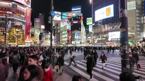 Tokio at night hits different Stock Footage 334582012