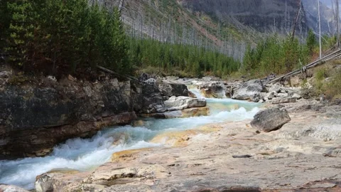 Tokumm river Stock Footage 229649244