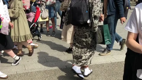 Tokyo Area Stock Footage 137743412