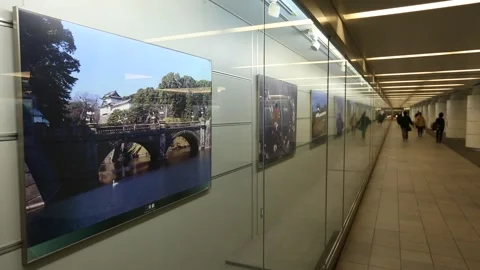 Tokyo Art Underpass Stock Footage 203784865