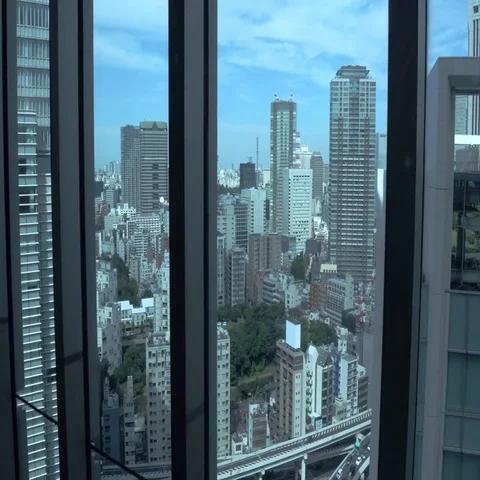 Tokyo City view in the elevator going down Vídeo Stock 69541268