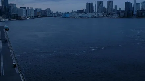 Tokyo Cityscape At Dusk Stock Footage 110819405