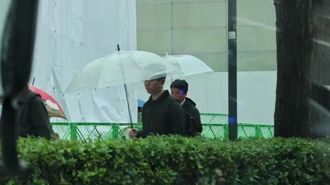 Tokyo Commuters Carrying Umbrellas During Heavy Rain Stock Footage 335103258
