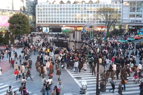 Tokyo crossing Stock Photos