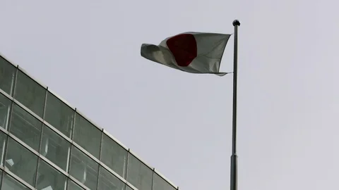 TOKYO FLAG Video stock 94677918