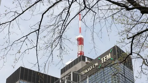 Tokyo FM Building Stock Footage 203779683
