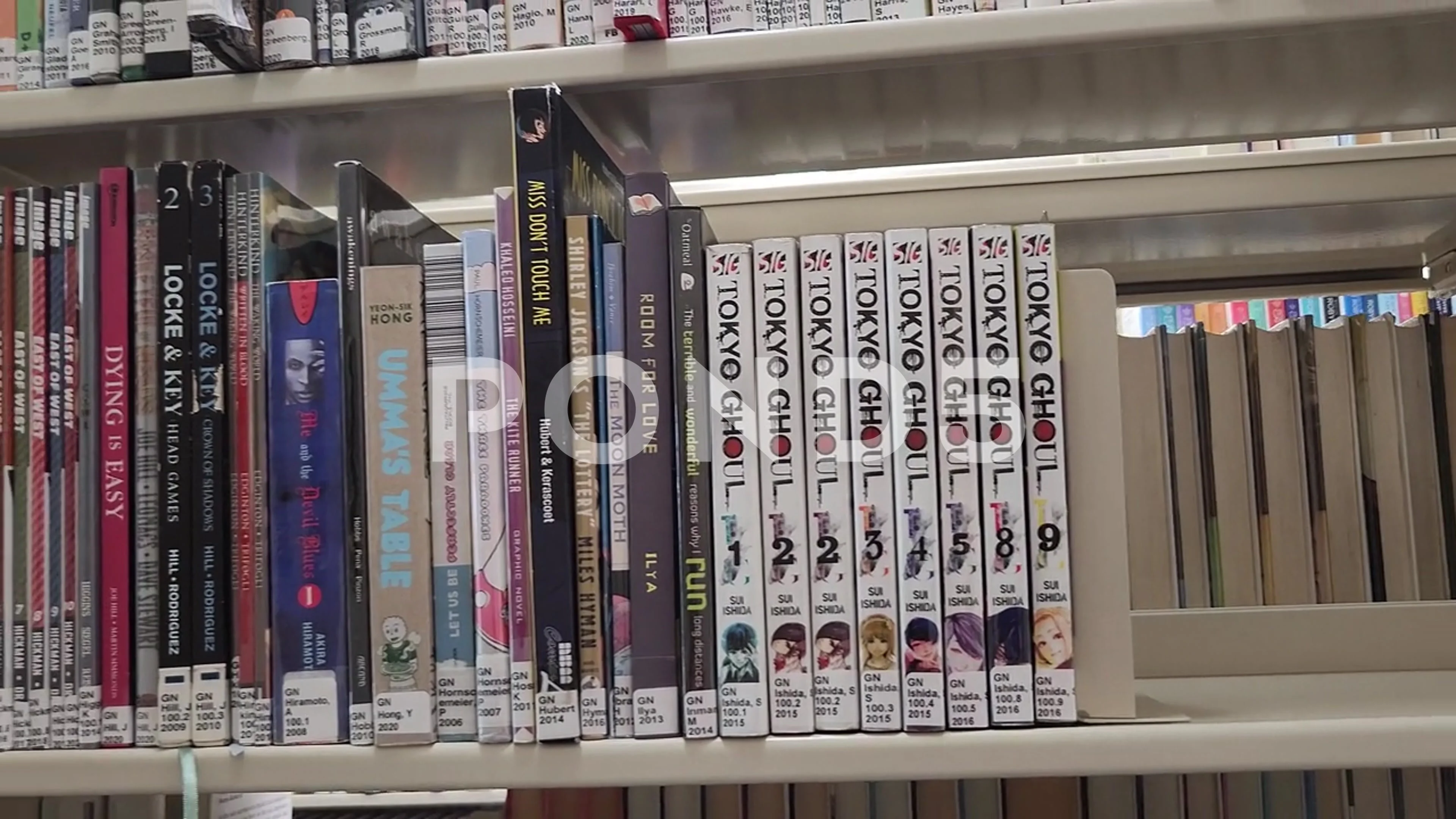 Aggregate more than 148 anime bookcase best - awesomeenglish.edu.vn