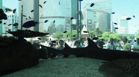 Tokyo Ginza 001 Video stock 1042712