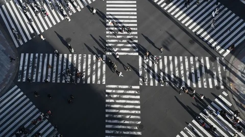 Tokyo Ginza crossing, 4K 動画素材 100766816