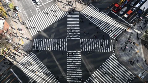 Tokyo Ginza Crossing 動画素材 100775404