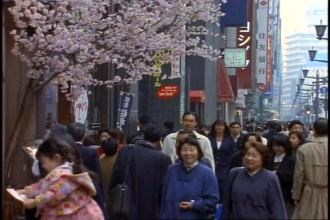 Tokyo, The Ginza District by day, crowds, medium, cherry blossoms, stores Stock Footage