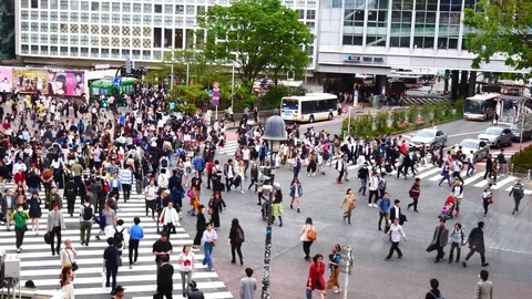 TOKYO, JAPAN APRIL 2017 : Slow motion of Shibuya crossing, a famous tourist a Stock Footage 81848341
