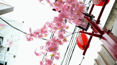 Tokyo, Japan Memory lane with cherry blossom sakura decorations in Shinjuku Stock Footage 107937760