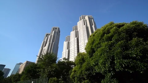 Tokyo / Japan (Moving image) 動画素材 101358906