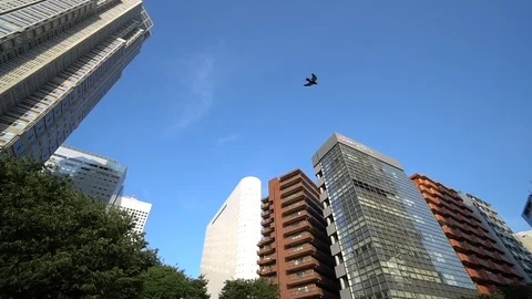 Tokyo / Japan (Moving image) Stockbeeldmateriaal 101358926