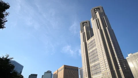 Tokyo / Japan (Moving image) Stockbeeldmateriaal 101358965