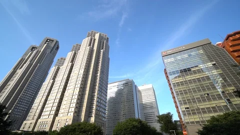 Tokyo / Japan (Moving image) Stockbeeldmateriaal 101359003