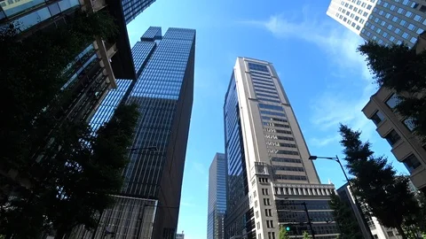 Tokyo / Japan (Moving image) Stockbeeldmateriaal 101359077