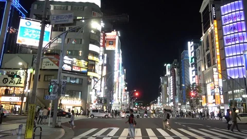 Tokyo / Japan (Moving image) 動画素材 101359228